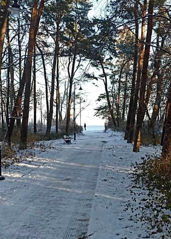 Holiday home Seaside Holiday House Gdansk